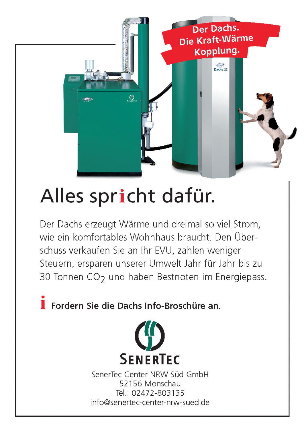 Mini-BHKW | Dachs Anlage